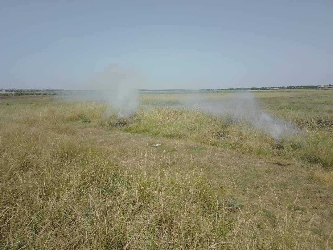 Кинутий недопалок міг стати причиною великої пожежі на заповідній території Білгород-Дністровщини