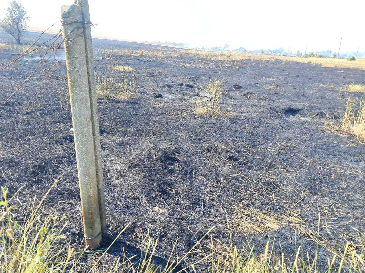 Випалювання сухої трави в Ізмаїльському районі призвело до загибелі жінки - підозрюваного затримано
