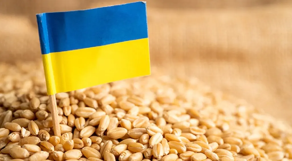 Молдова обмежила імпорт українського зерна: як це вплине на аграрний сектор Одещини