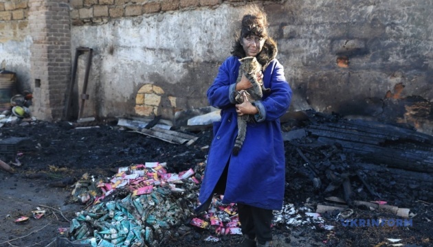 Одеса: атака на «Люблячі серця» – 13 тварин загинули