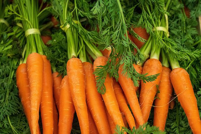 Лікар розкрив секрет: 3 групи продуктів для плоского живота. Їжте їх, щоб спалити жир!